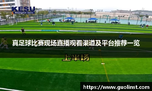 雷竞技raybetapp官网